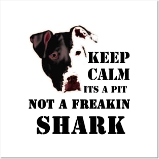 keep calm its a pit bull not a freakin shark, pitbull Posters and Art